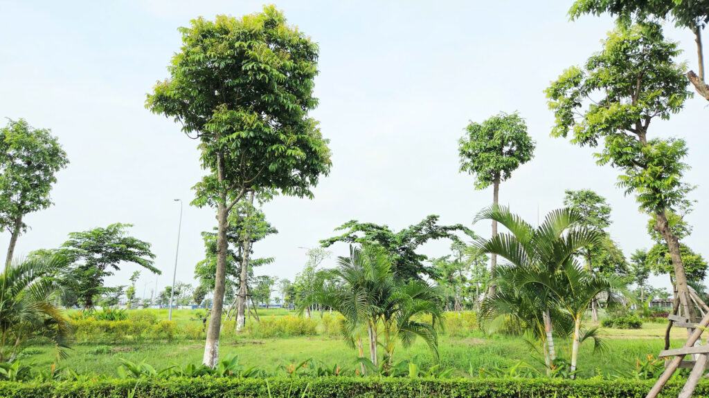 Tiện ích HUD Mê Linh Central