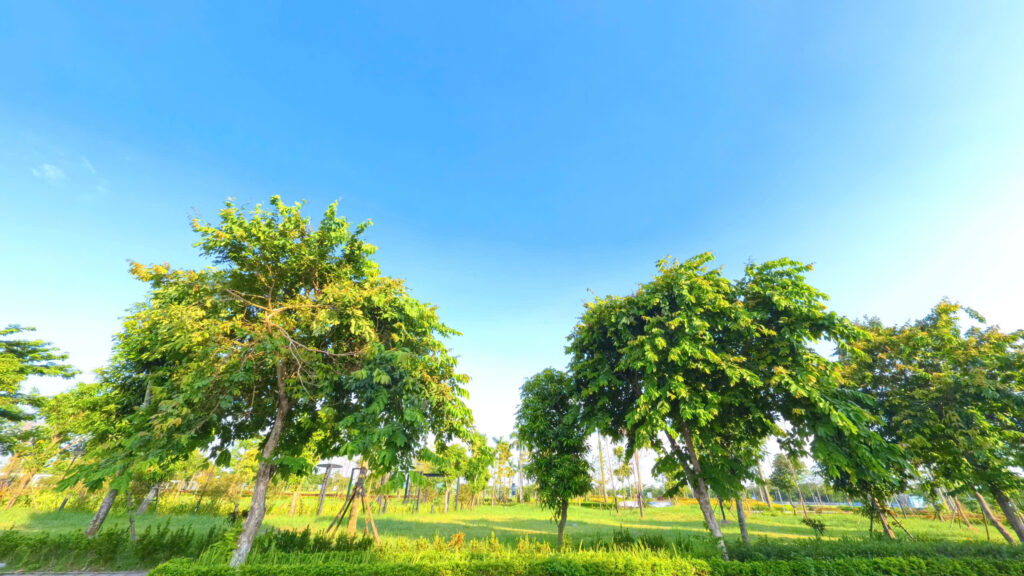 Tiện ích HUD Mê Linh Central