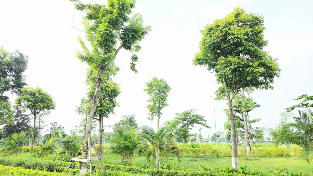 Tiện ích HUD Mê Linh Central