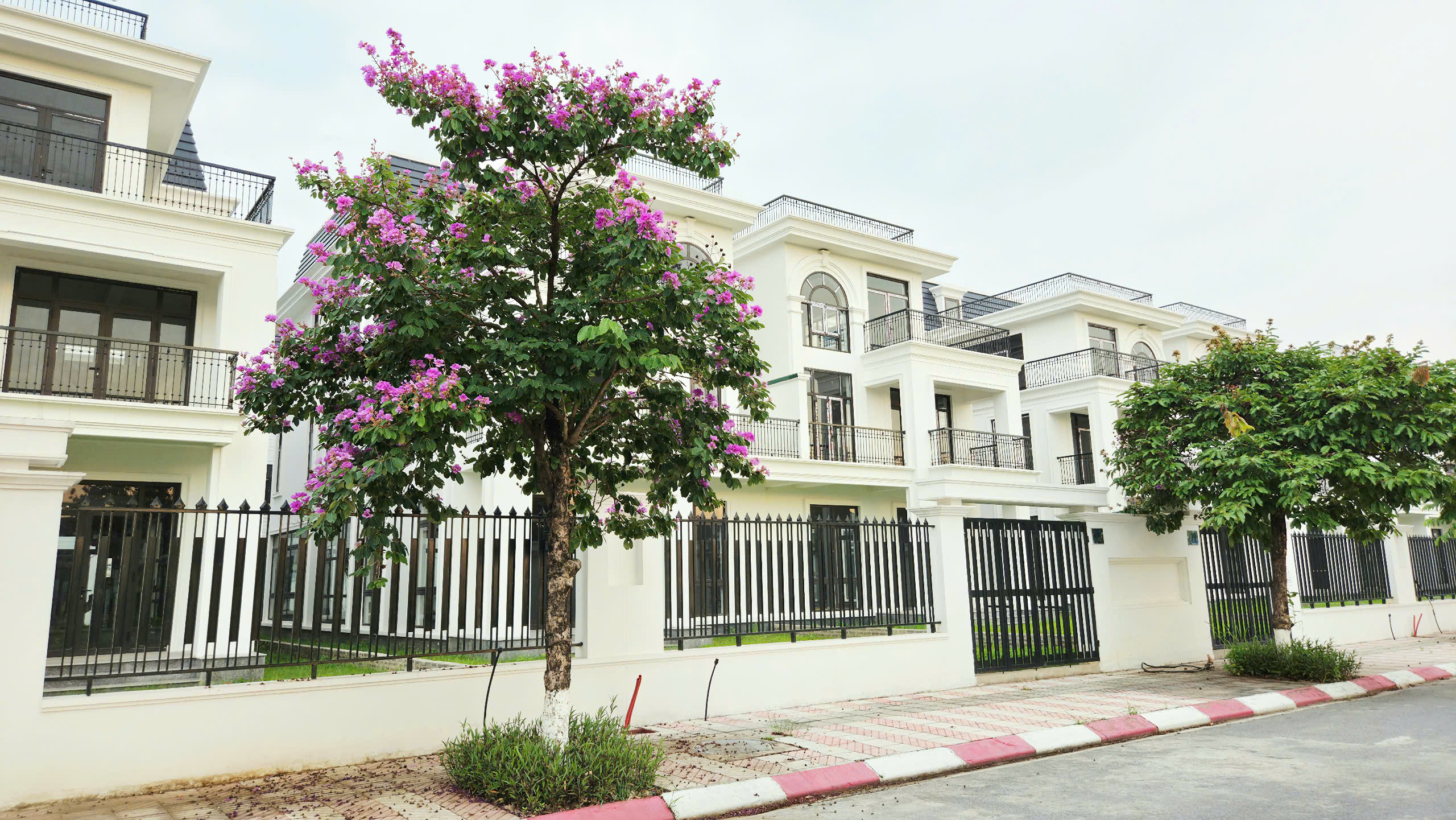 Biệt thự 300m2 mặt đường trục chính