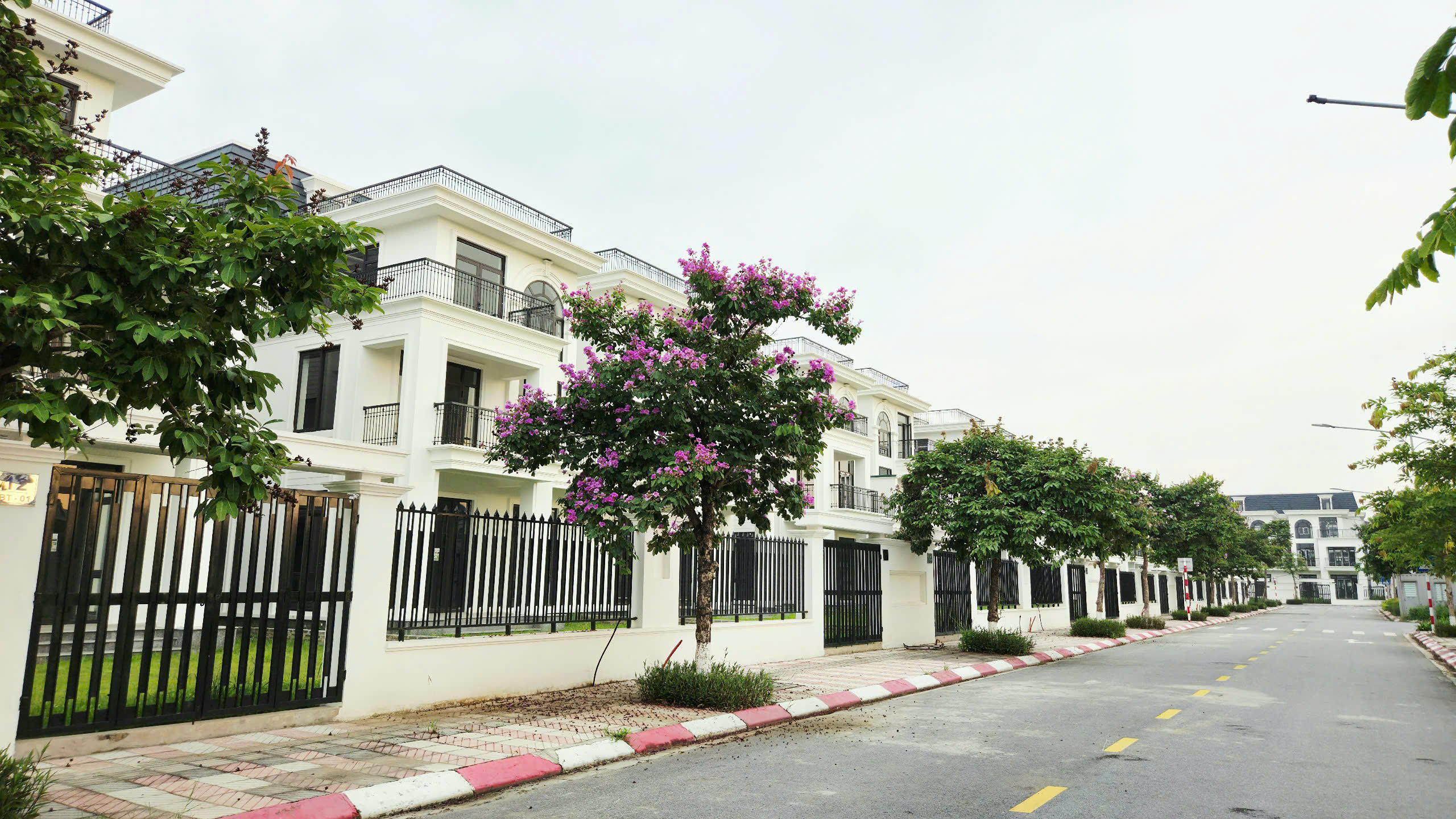 Biệt thự 300m2 mặt đường trục chính