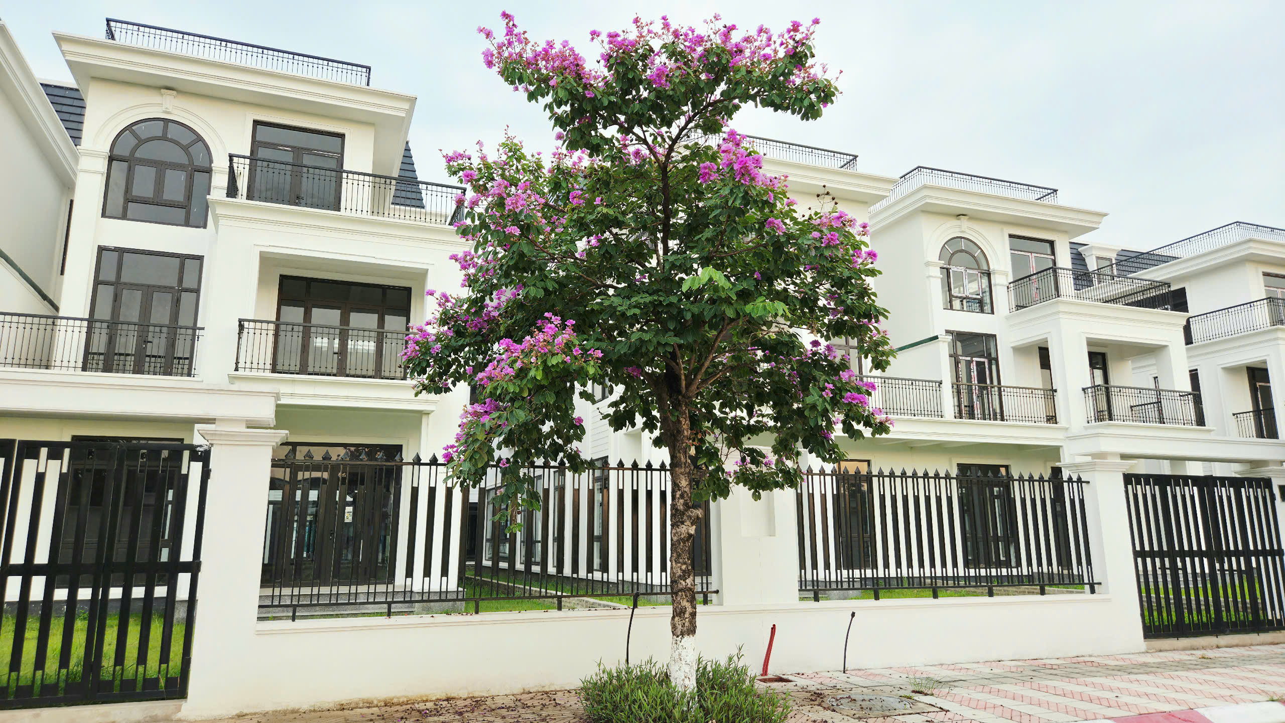 Biệt thự 300m2 mặt đường trục chính