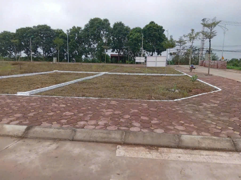 Đất đấu giá Vạn Yên Mê Linh