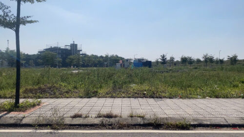Đất đấu giá Tráng Việt