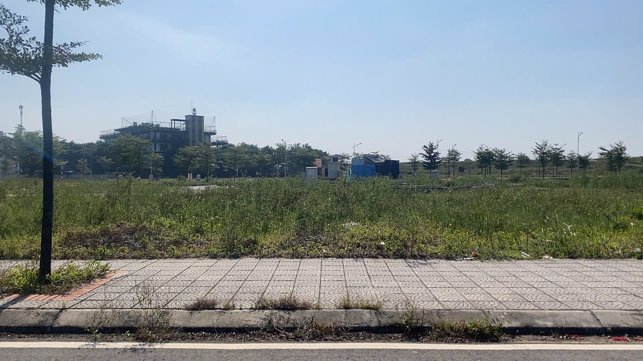 Đất đấu giá Tráng Việt