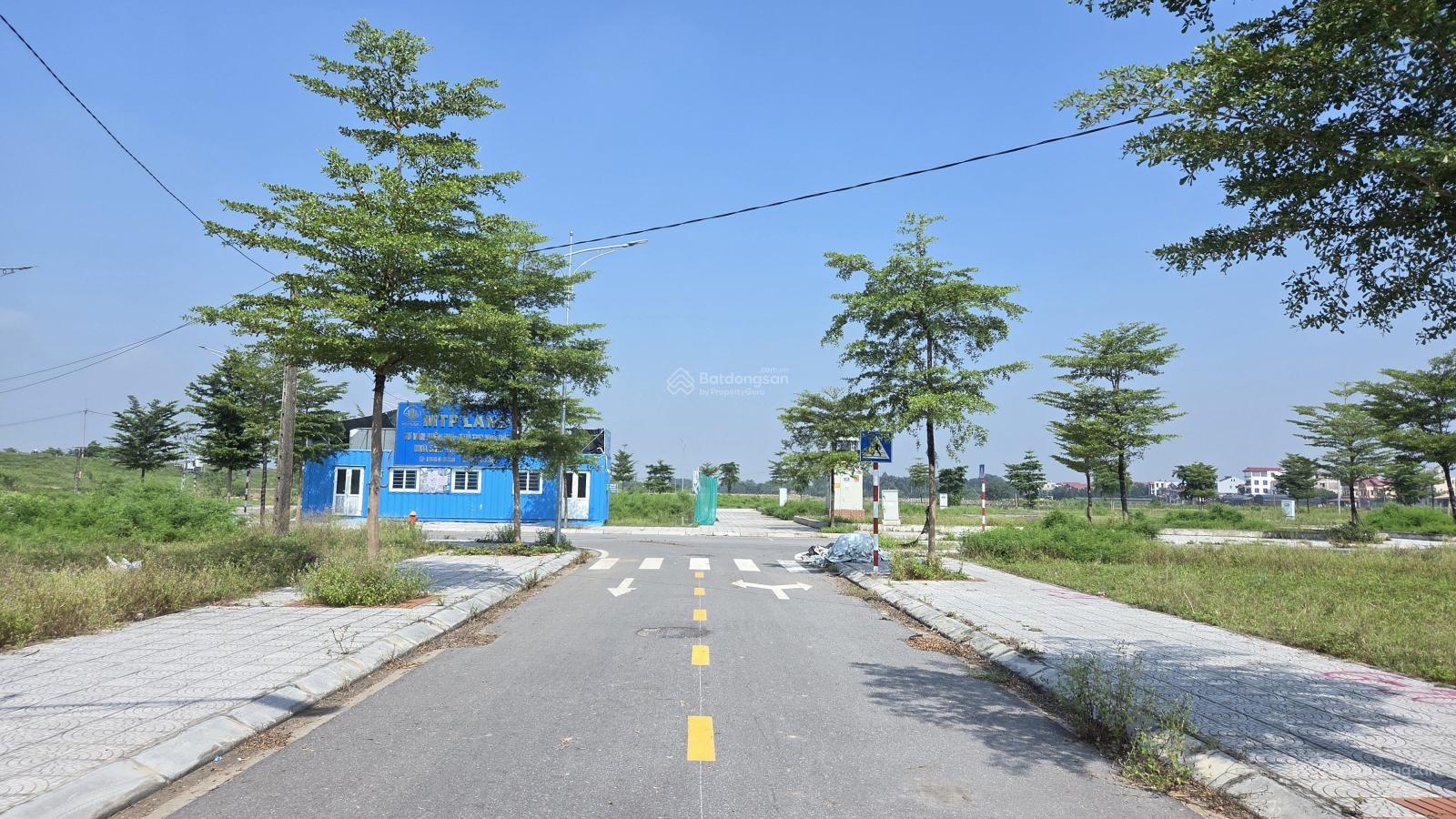 Đất đấu giá Tráng Việt