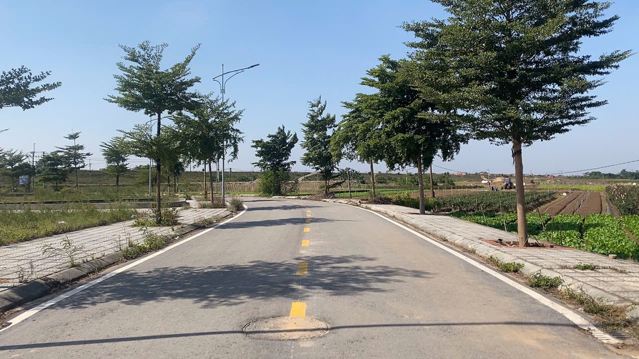Đất đấu giá Tráng Việt
