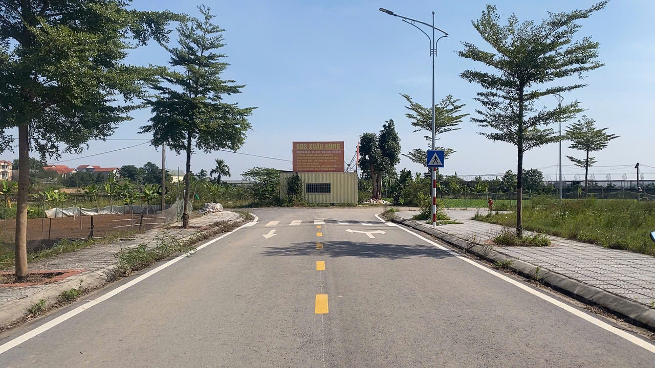Đất đấu giá Tráng Việt