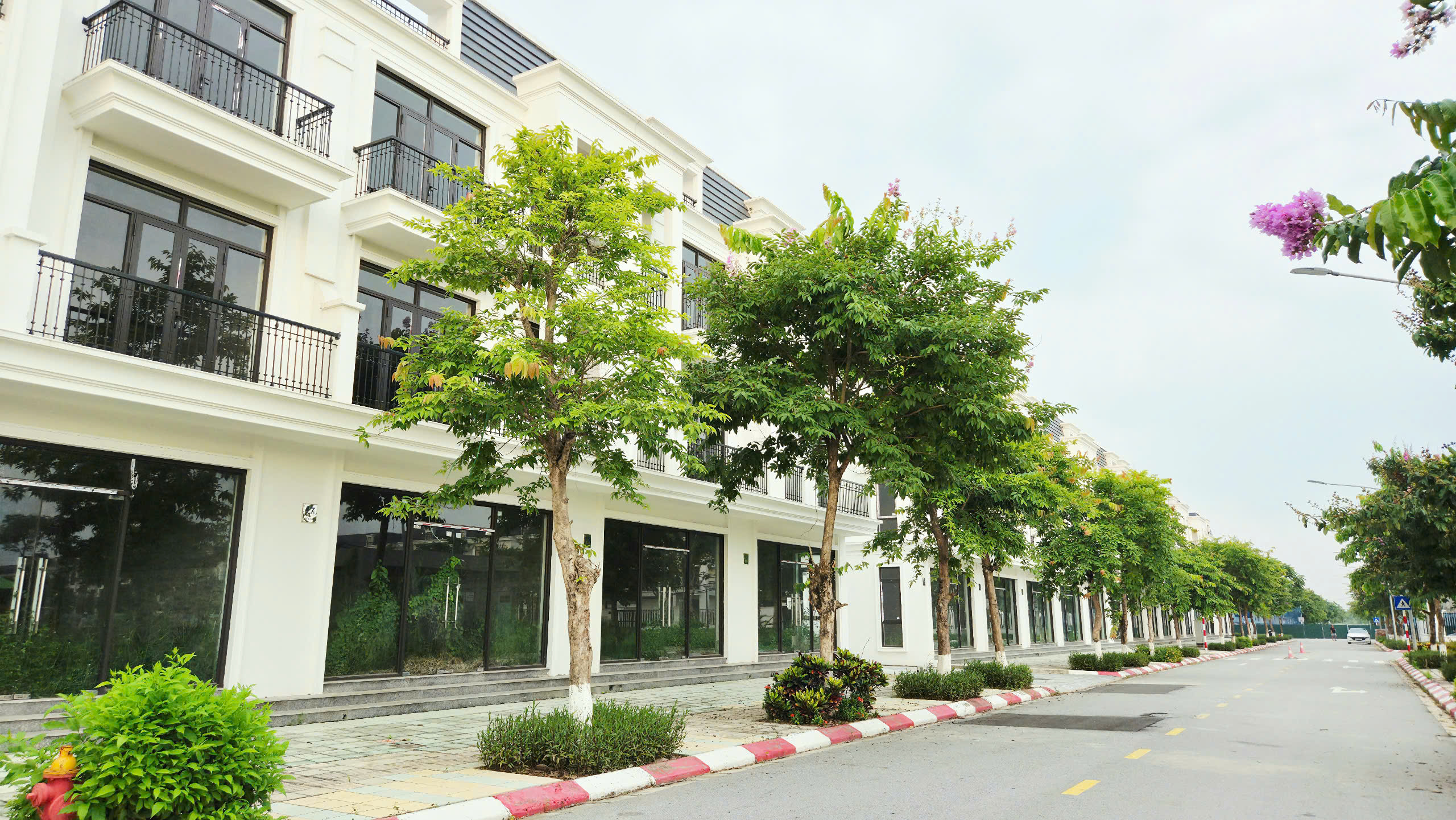 Liền kề Hud Mê Linh Central